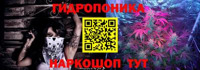 герыч Боровичи