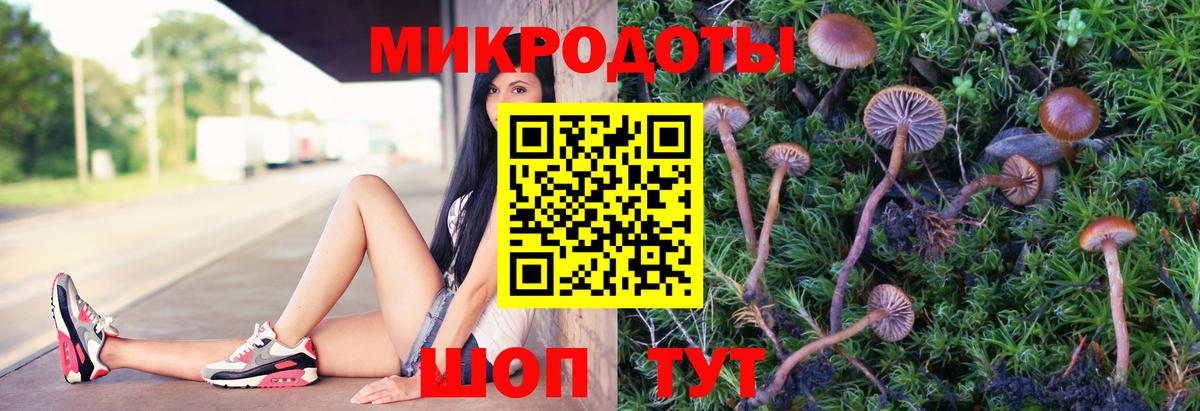 Галлюциногенные грибы мухоморы Выборг